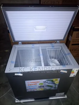 Snowsea Bd- 258 Deep Freezer