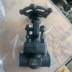 1/2 Needle Globe Valve