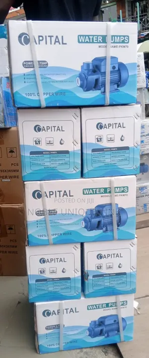 Surface Water Pump