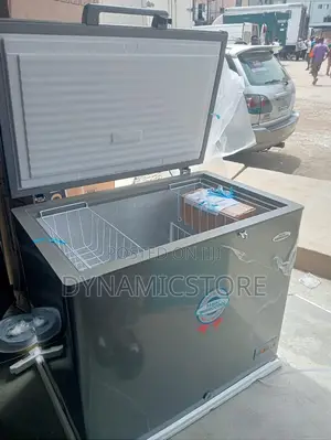 Haier Thermocool Freezer Silver 250l