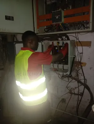 Professional Electrician