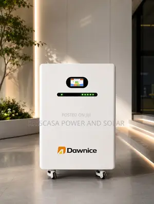 20+Kwh Dawnice Premium Lithium Battery