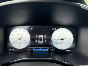 Hyundai Santa Fe 2022 Red