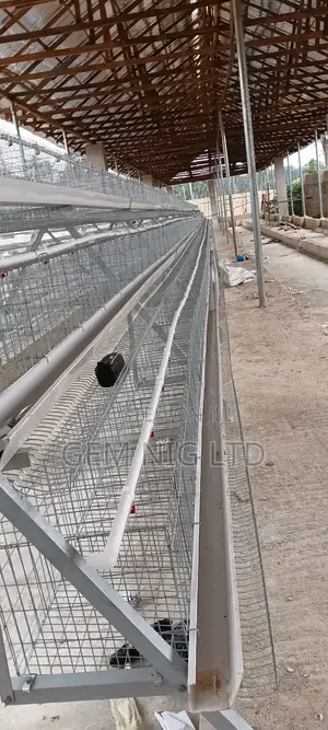 Poultry Layers Battery Cage