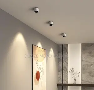 Ceiling Spotlight Led Surface Mount Accent Spot Light Aluminum