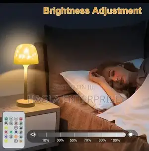 Rechargeable Bedside Bedside Lamp Remote Controlled