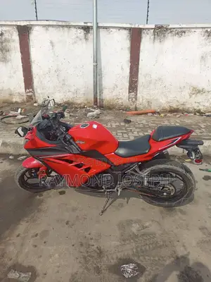 Kawasaki Ninja 300 2016 Red