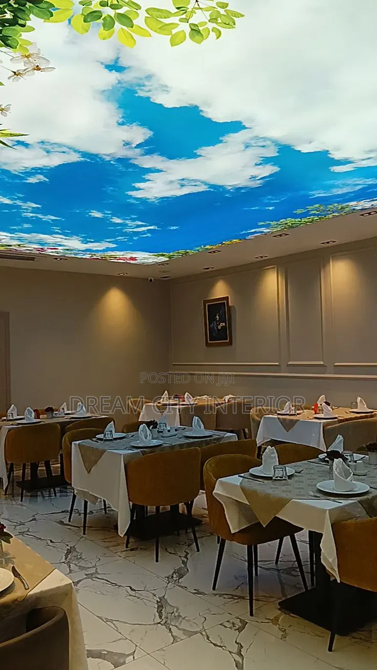 Stretch Ceiling 3d Designs
