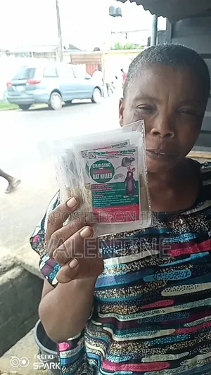 Cruising and Crushing Rats Killer Insecticide Fumigation and Cleaning