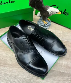 Men's Clarks Shoe