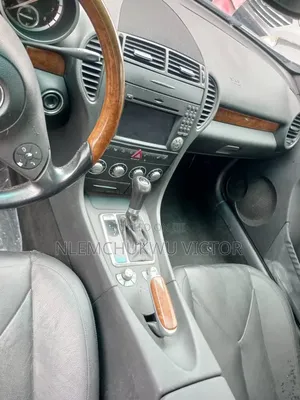 Mercedes-Benz SLK-Class 2010 Silver