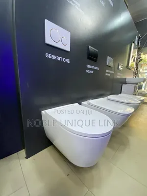 Executive Geberit Conceal Water Closet
