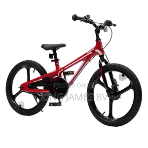 Chrome Wheels Adult Bicycle