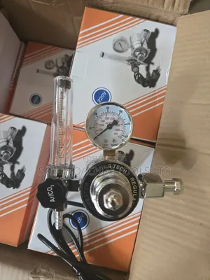 Co2 220v Regulator
