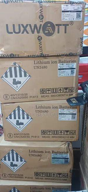 Luxwatt Lithium Battery 3kwh/24v