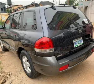 Hyundai Santa Fe 3.5 Limited 4WD 2006 Gray