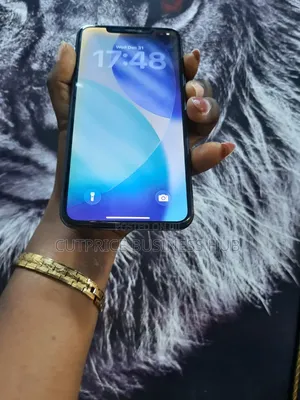Apple iPhone 11 Pro Max 64 GB Gray