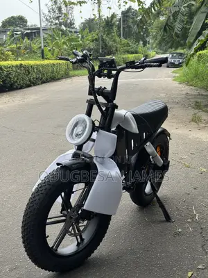 20x4" Big Fat Tyre Electric Bicycle With 500w Motor and 1200w Battery