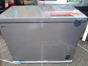 LG Freezer