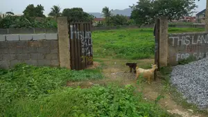 Agis Regularised 3,500sq.M Land for Sale in Builtup Area in F01 Kubwa