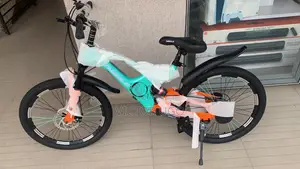 Bicycle 22 Inches