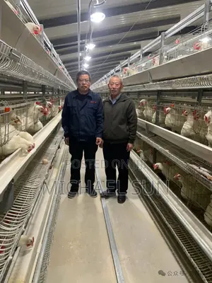Poultry Farming Equipments Chicken Cages Battery Cage Poultry Cage
