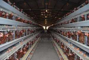 Battery Cage Poultry Cage Chicken Farming Cages