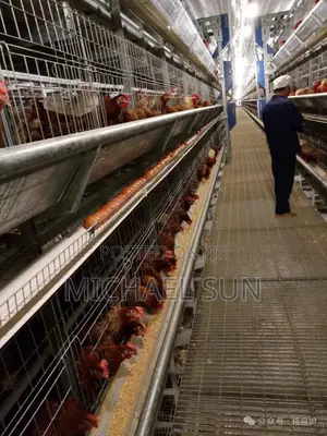 Farming Cage Chicken Raising Cage Poultry Farming Equipment