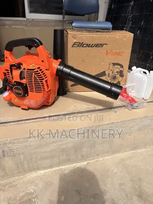 This Is a Neptune Eb260 Gasoline-Powered Leaf Blower Engine