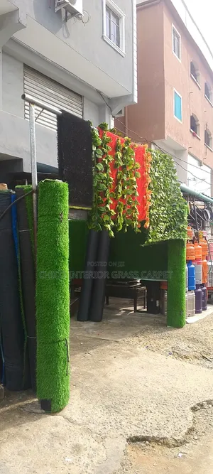 Artificial Grass Carpet