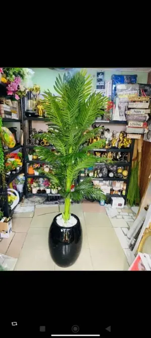 Flower Plant