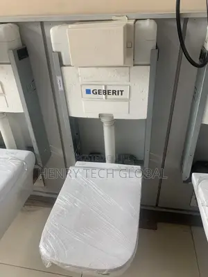 Original Conceal Seat and Tank (Geberit )