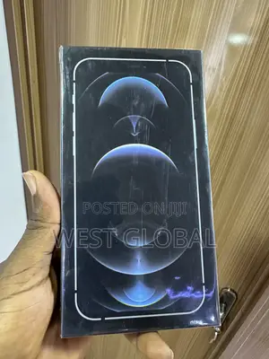 New Apple iPhone 12 Pro Max 256 GB Silver