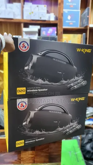 W-King D20 + 2 Microphone
