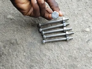 M10x100 Ss Bolt and Nut