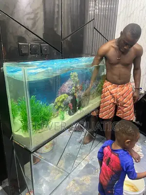Aquarium Maintenance Available