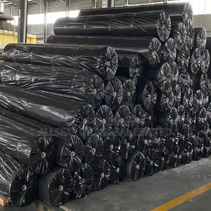 Non Woven Geotexile Construction Filament (Nous Parlons Français)