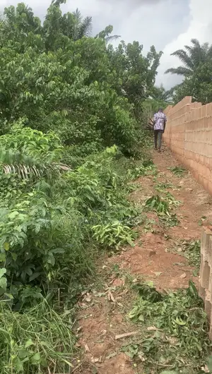 Half Plot of Land