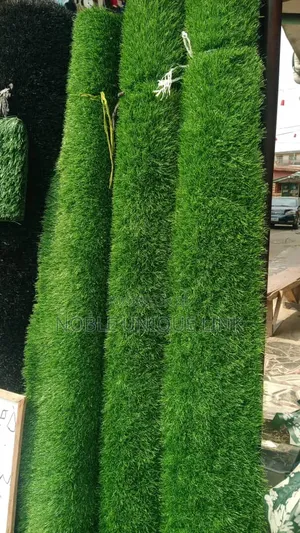 Carpet Grass