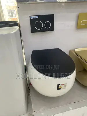 Wall Hung Wc With Concealed Tank (British Standard)