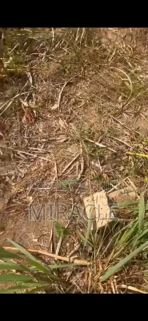 Half Plot of Land Available for Sell in Umuojima