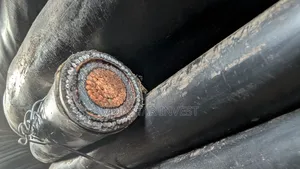 Single Wire Armored Cable