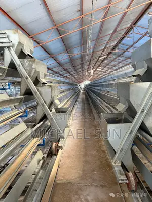 Chicken Coop Battery Cages Farming Poultry Cages