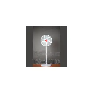 Rechargeable Standing Fan