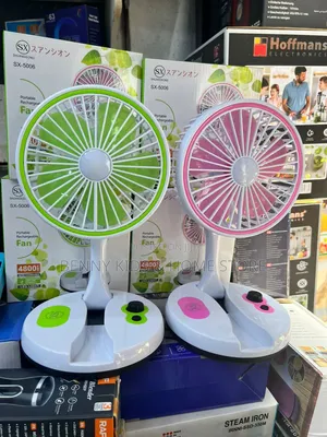 Electric and Rechargeable Standing Fan