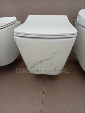 Conceal Seat and Tank (White)