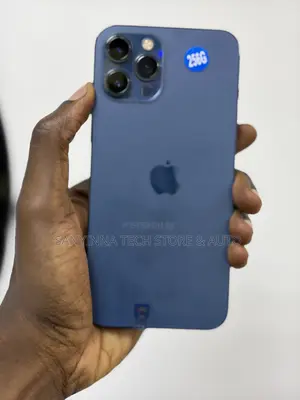 Apple iPhone 12 Pro Max 256 GB Blue