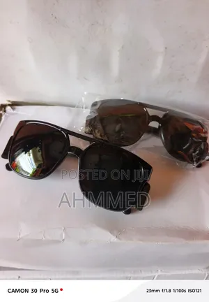 Dark Baby Eagles Safety Glasses