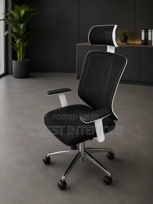 Executive Ergonomic Office Chair | Premium Comfort