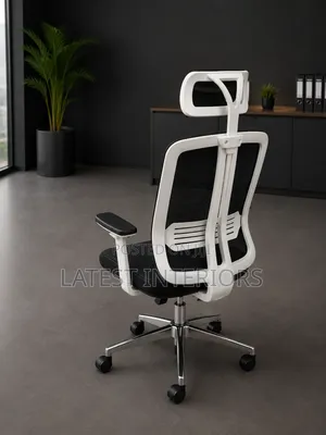 Executive Ergonomic Office Chair | Premium Comfort